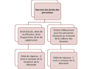 Loi pour une République numérique